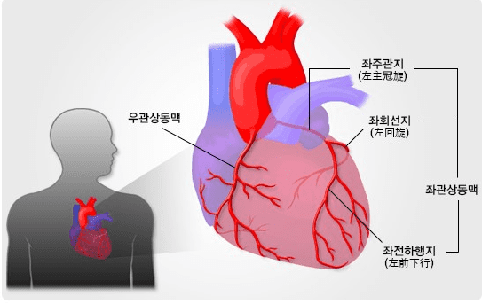 관상동맥